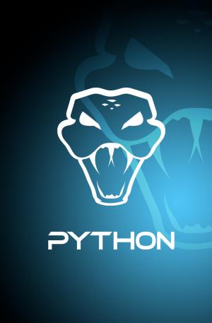 Python